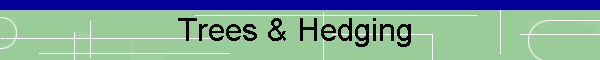 Trees & Hedging 